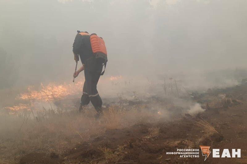    Тушение лесного пожара