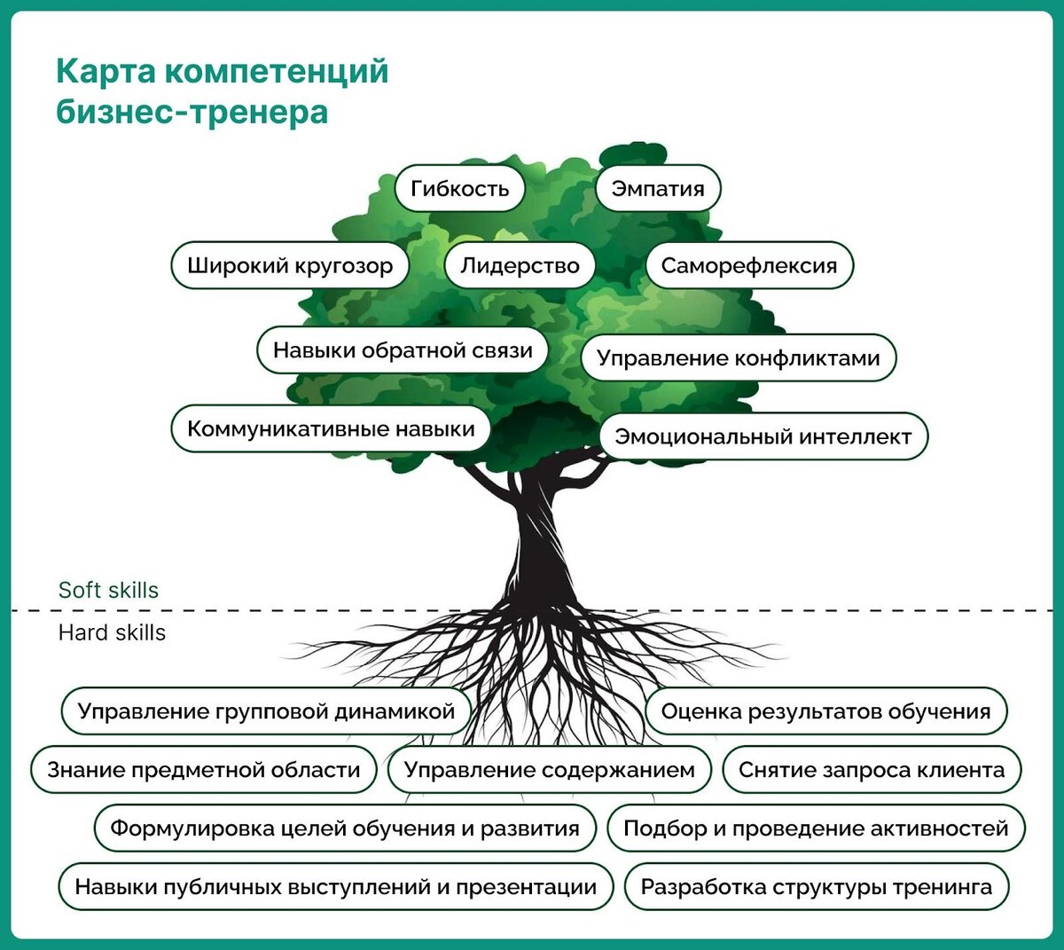 Портрет компетенций бизнес-тренера в инфографике