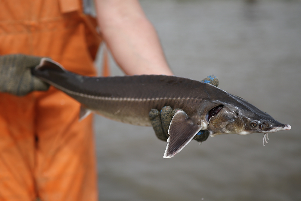    Фото: Виталий Тимкив / РИА Новости