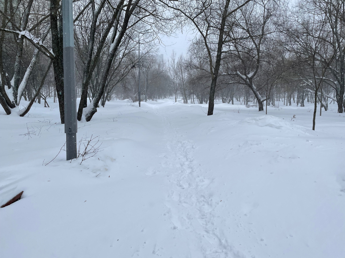 Здесь слева были скамейки, вот кусочек видно сбоку