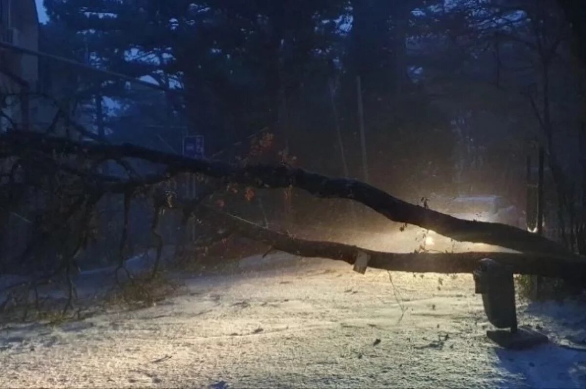    Ураганный ветер обесточил дома и оборвал троллейбусные провода в Ялте