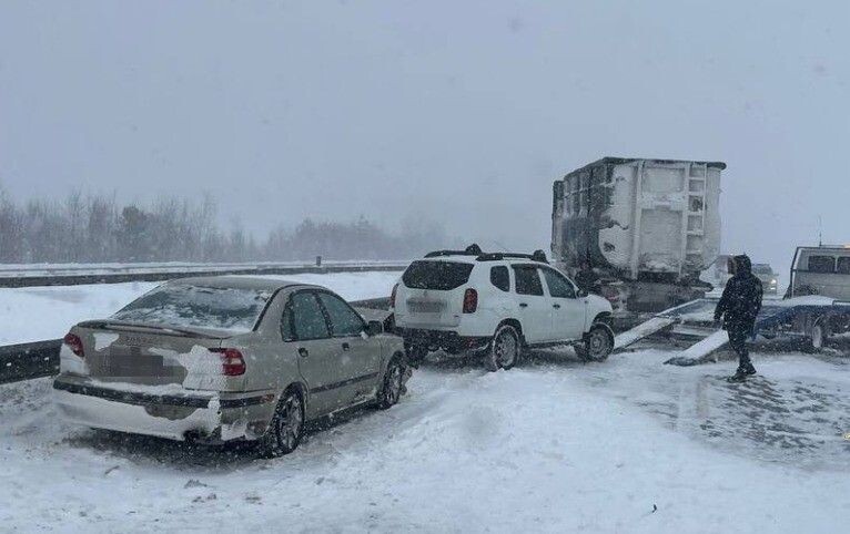     / Источник: © Пресс-служба ГУ МВД России по Московской области