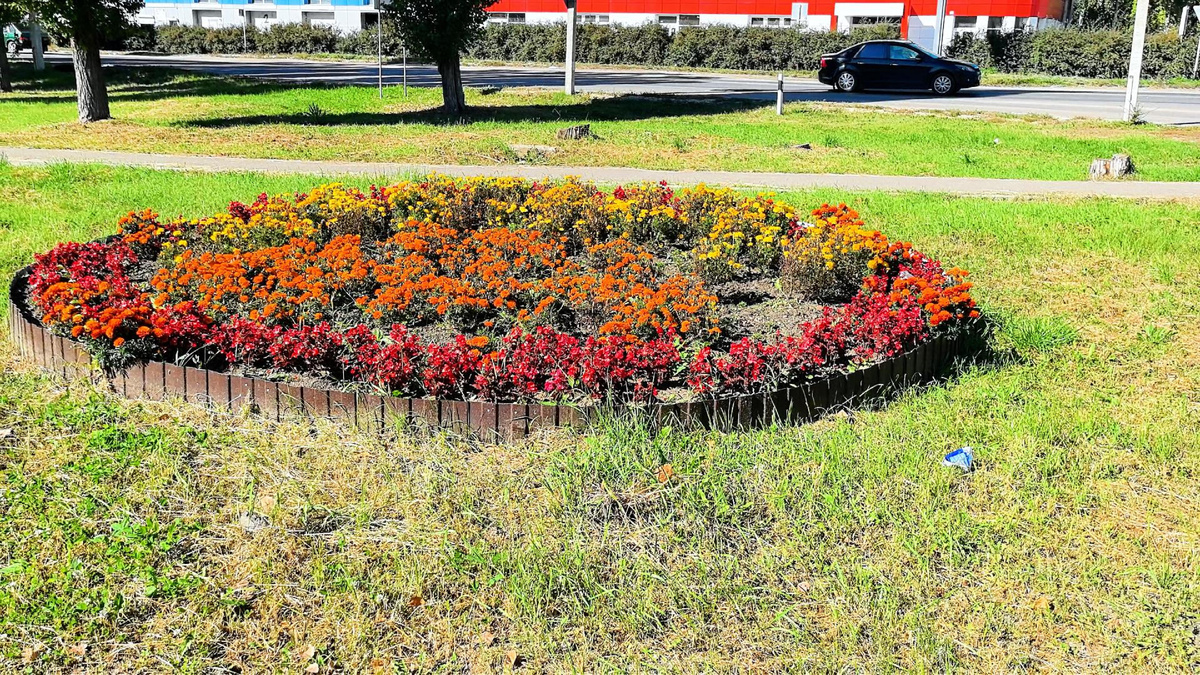 Клумба с цветами в городе Семилуки