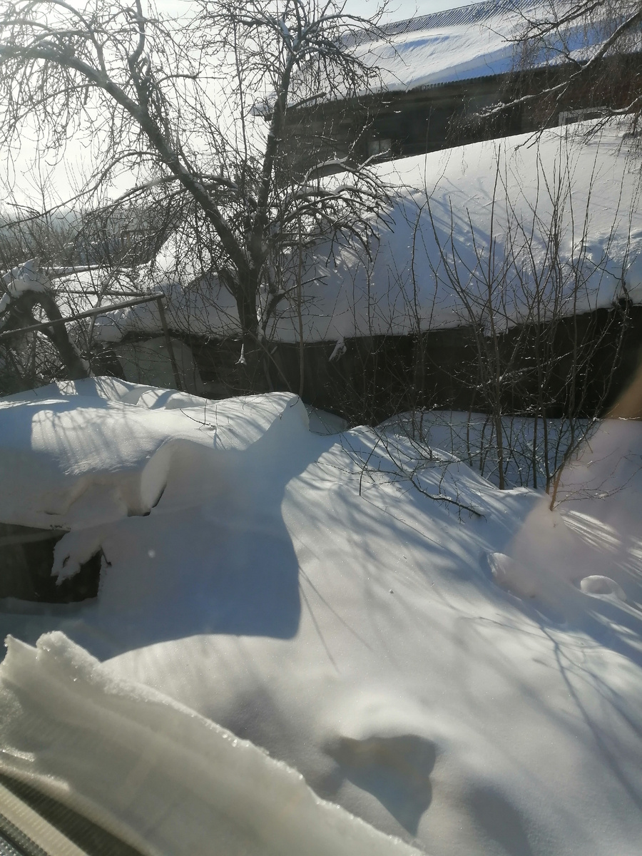 Вид из окна