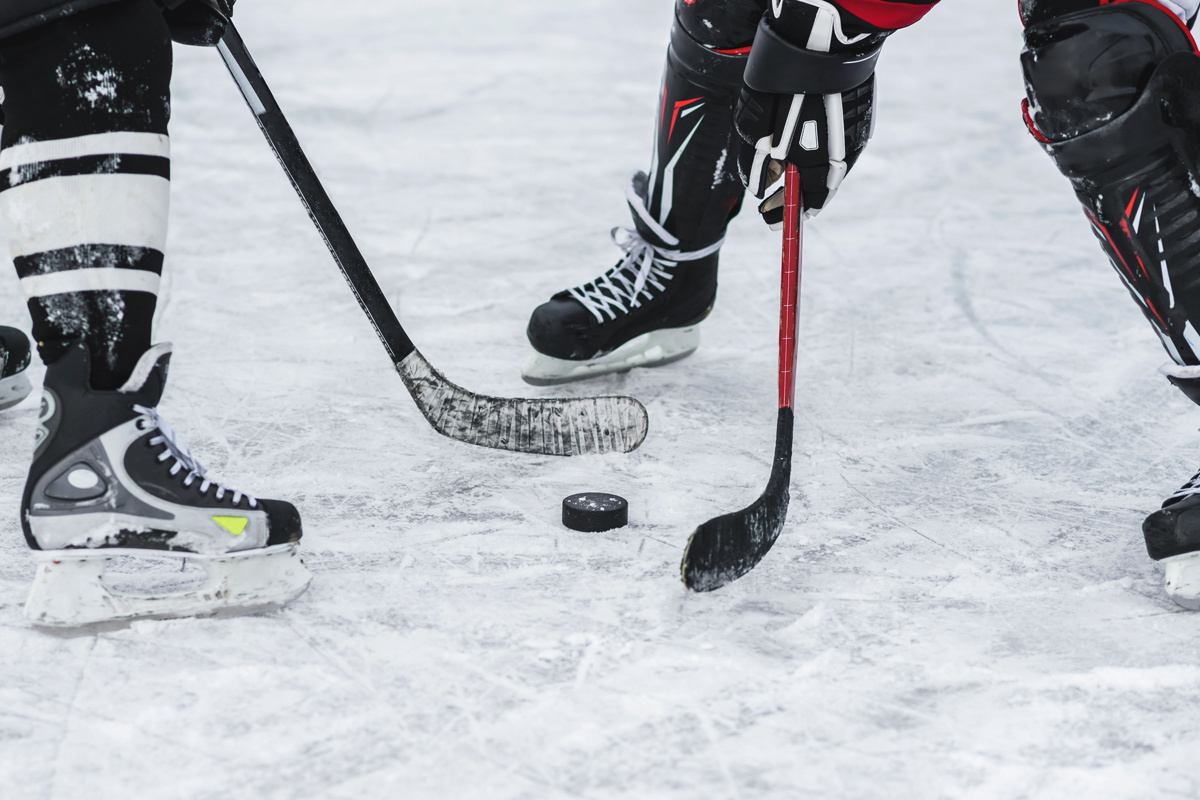    Фото: Alexandr Grant / Shutterstock.com