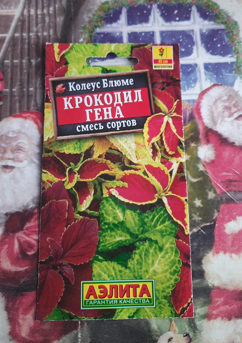 Фото из личного архива 