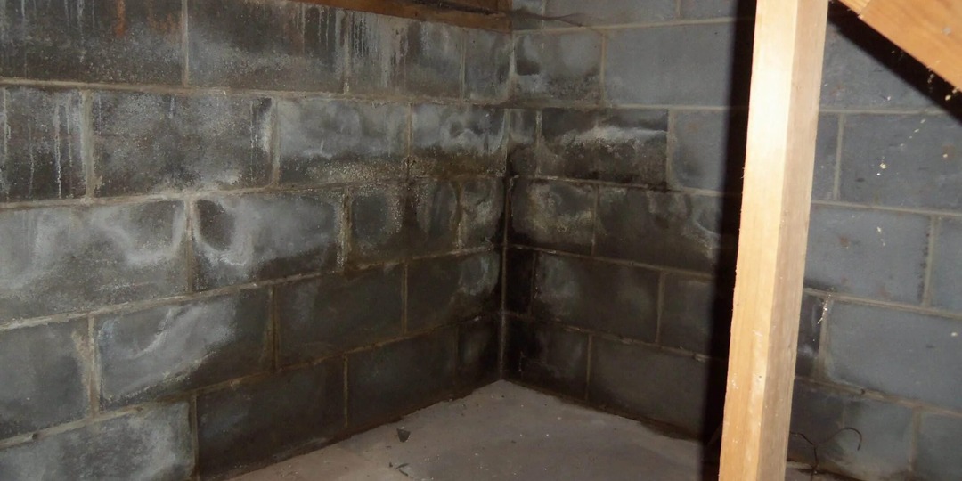 Хотите, чтобы лаги сгнили за 3 года – делайте «теплый» цоколь с продухами: как избавиться от сырости в подполе раз и навсегда?