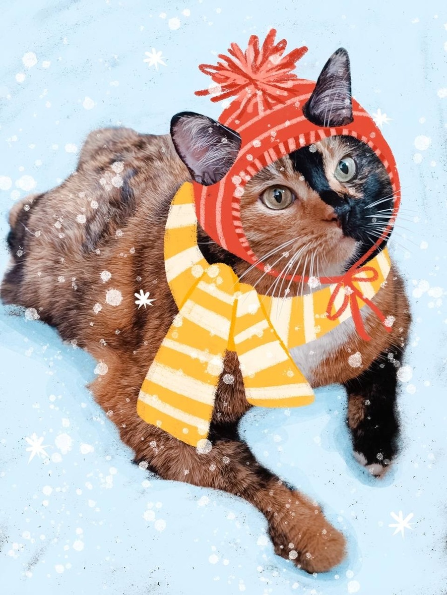 Знакомьтесь: Рося Мурр!