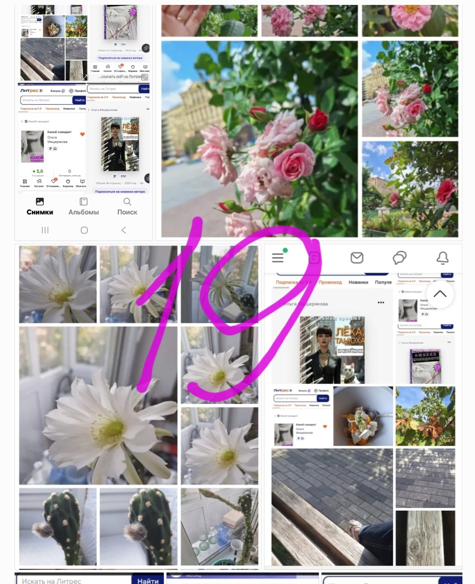 Фотоколлаж - собственность автора канала "ТАК НАДО".