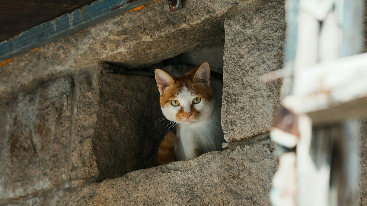    Елена Соколова, создатель сообщества, уверена: главный ресурс — это неравнодушие местных жителей