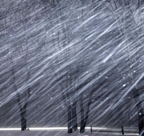 Фото из интернета. 