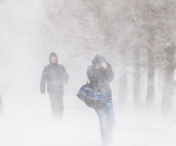 Фото из интернета. 