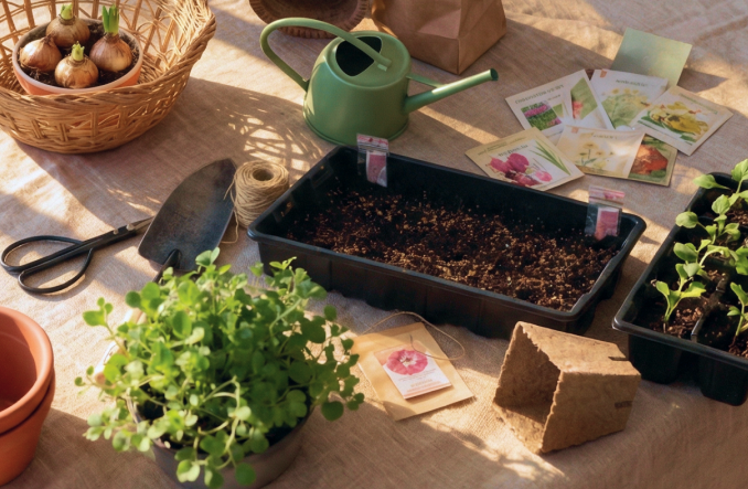 Благоприятные дни для посадок в марте 2026 года