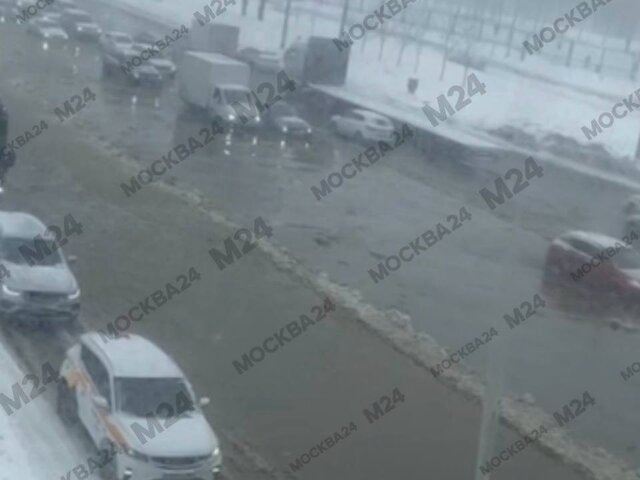    Фото: Москва 24