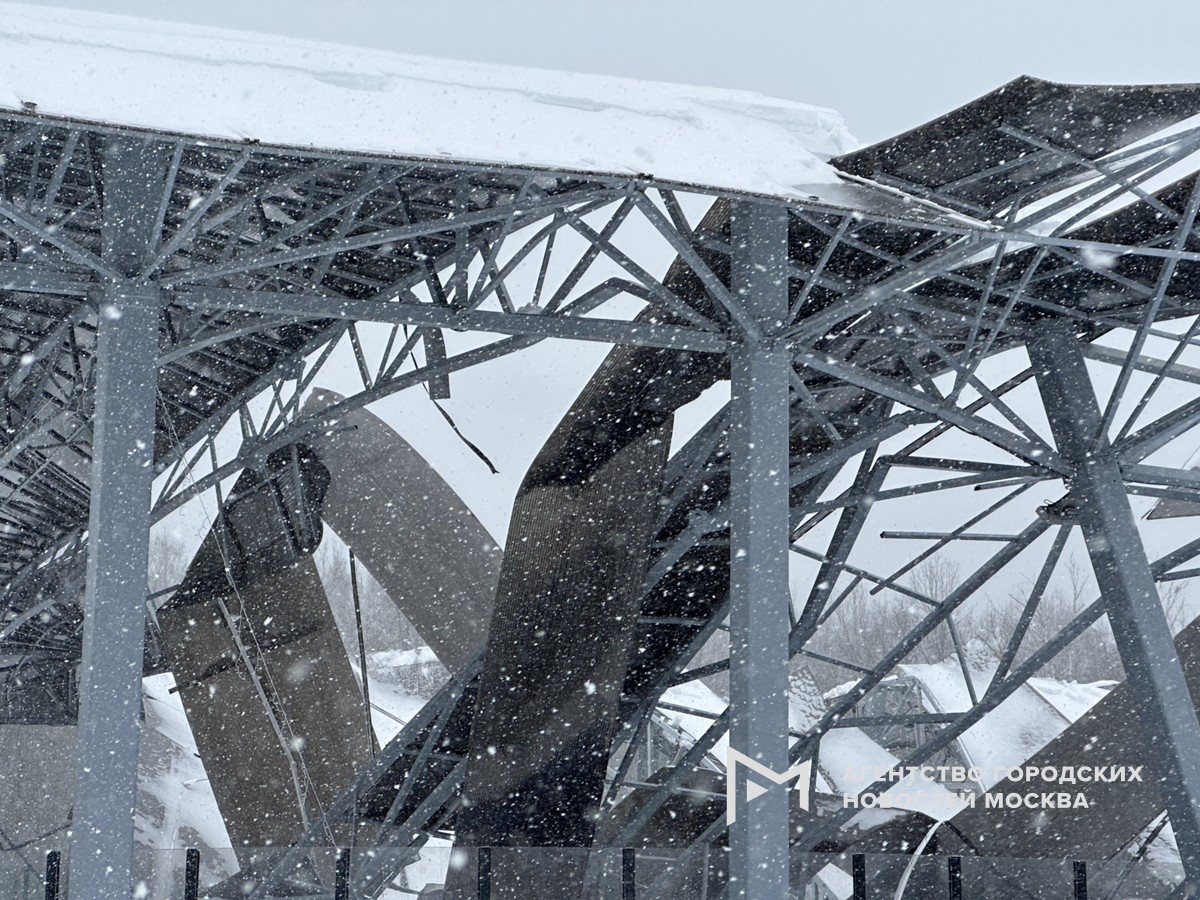 Фотограф: Мобильный репортер