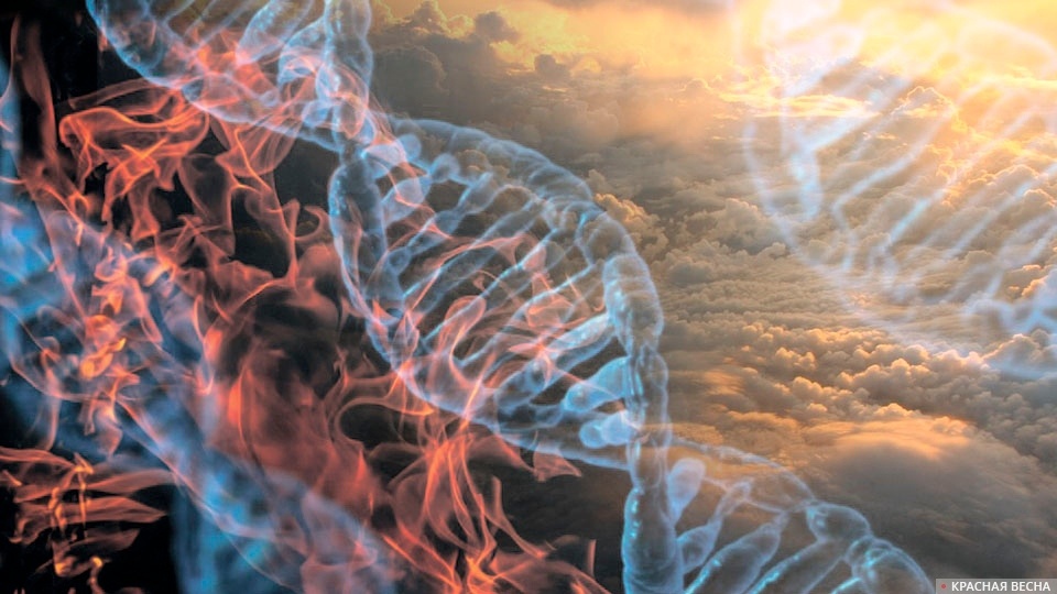     Геном   
Сергей Анашкин © ИА Красная Весна