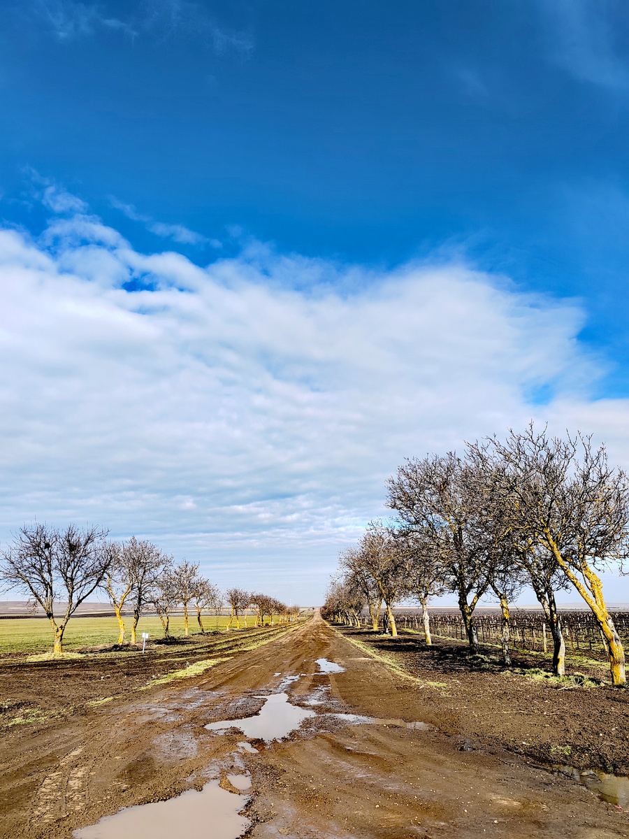 Дорога к мысу Железный Рог со стороны поселка Таманского. Фото автора