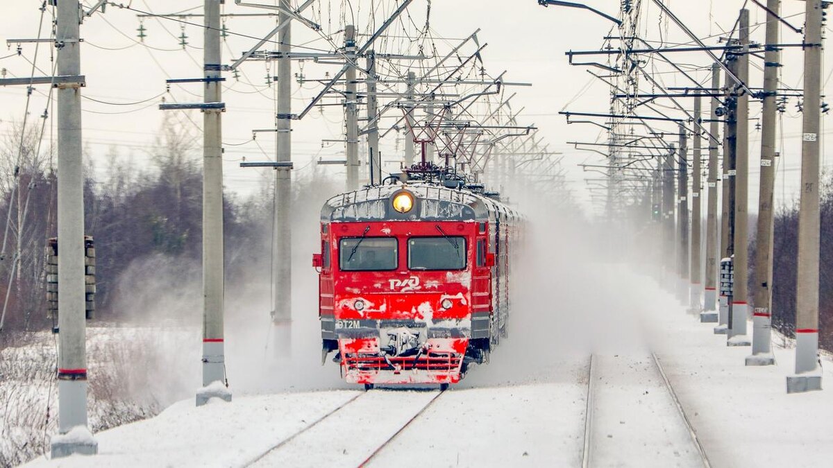    Фото: pixabay.com