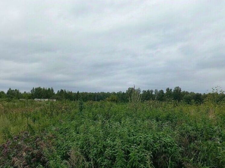     Фото: Управление Россельхознадзора по городу Москва, Московской и Тульской областям