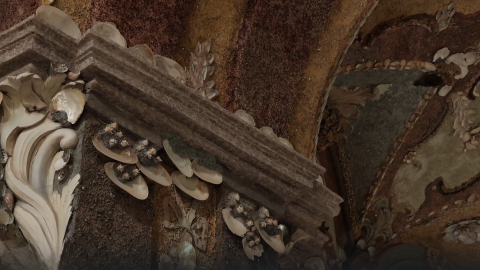 ФОТО: Кадр из программы "Загадки человечества", РЕН ТВ