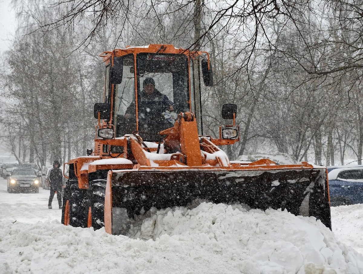    Фото: ГАУ МО АИС «Подмосковье»/Юлия Выборова
