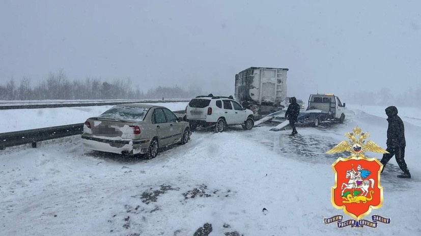    Подмосковная полиция