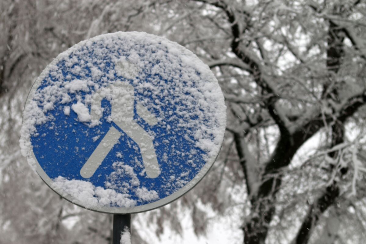    Фото: Игорь Филонов