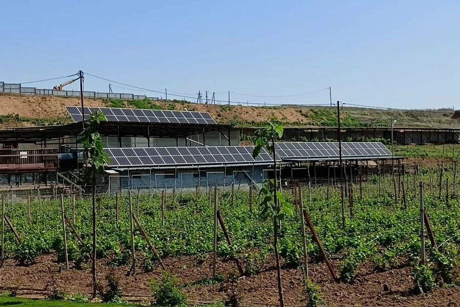 Солнечная электростанция на винодельне "Зимовец" (Волгоградская область)