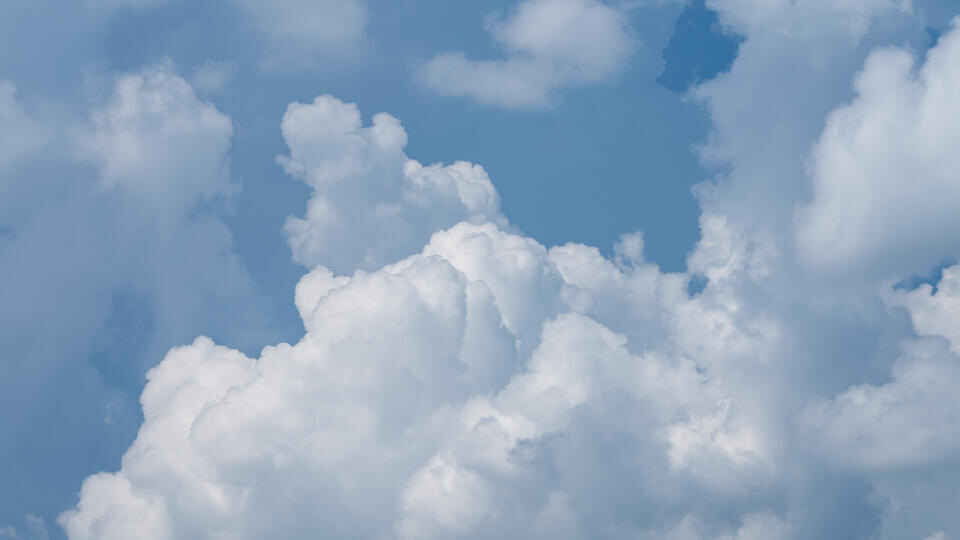 ФОТО: Silas Stein/dpa/picture-alliance/TASS