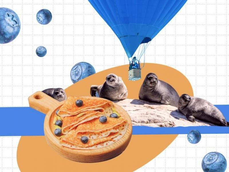 © Обложка: Анастасия Гранат | Первый Байкальский