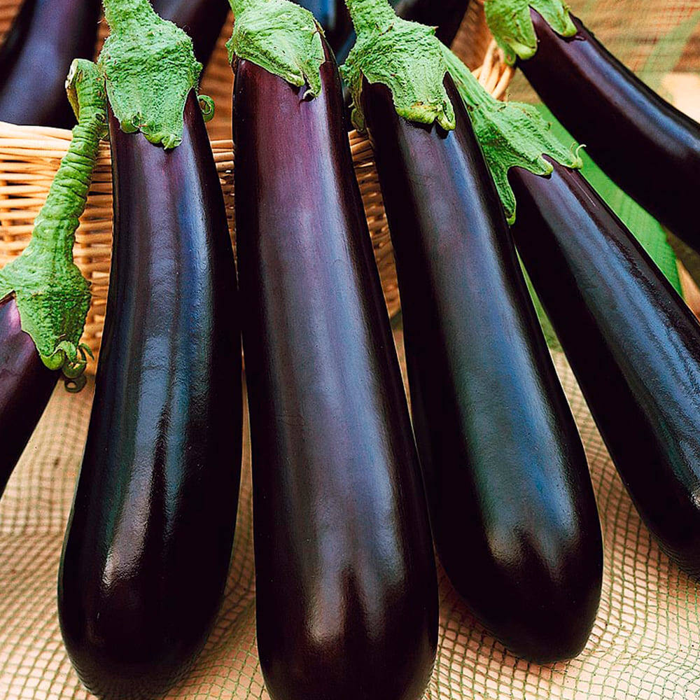 Баклажаны Валентина: классика, проверенная временем