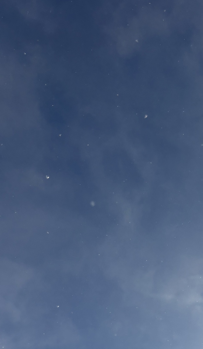 Посмотрите, какие снежинки летят с неба❄️