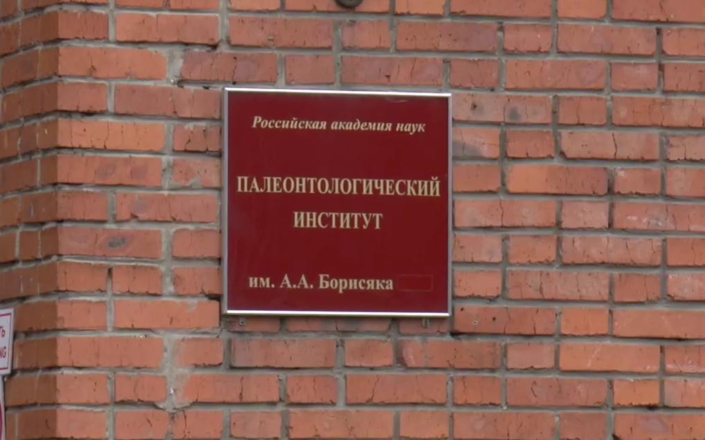 Куда съездить классом на февральских каникулах