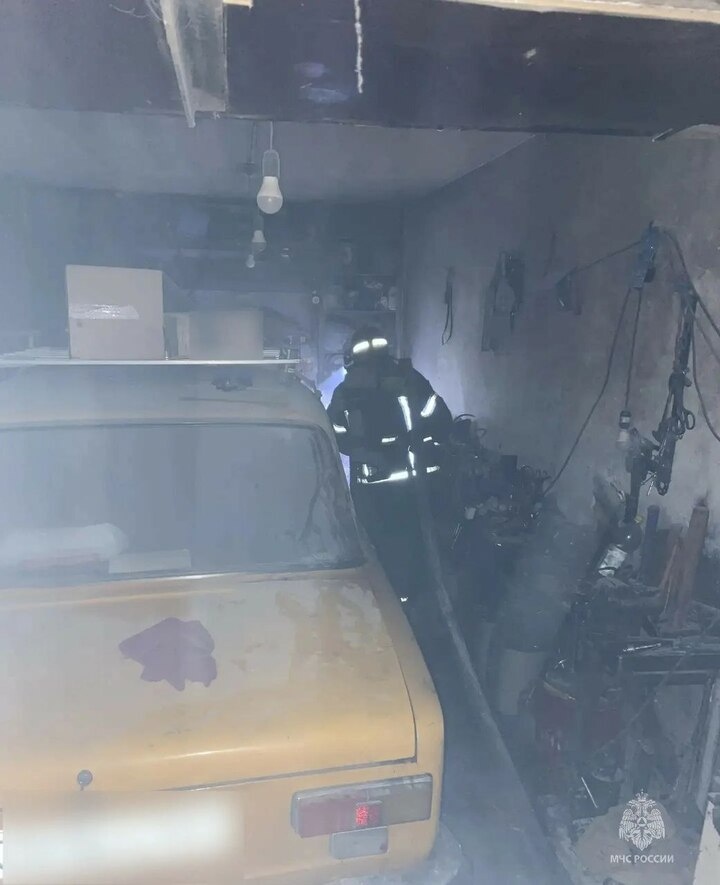     Фото: МЧС Алтайского края