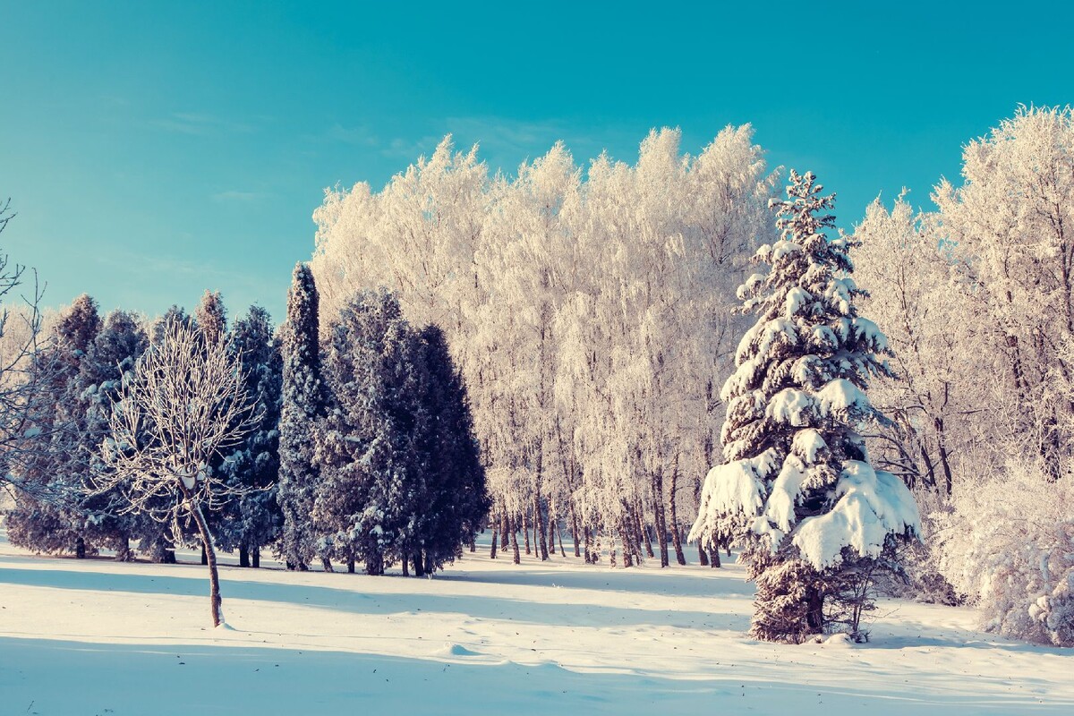 Мороз 19 февраля приметы