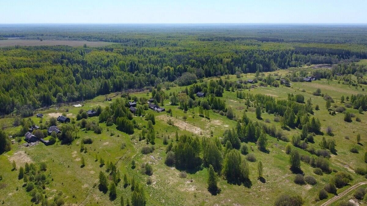    Деревня Рудаково - вид сверху   Дзен-канал «Заброшенный мир»