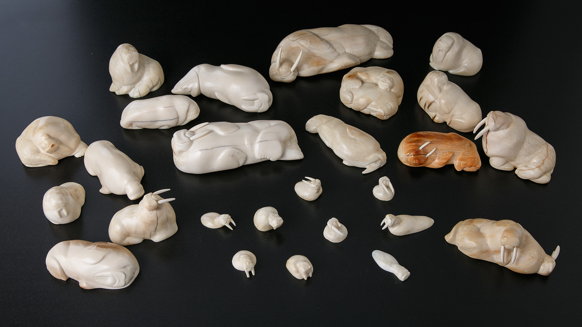 Фото предоставлено Дарвиновским музеем