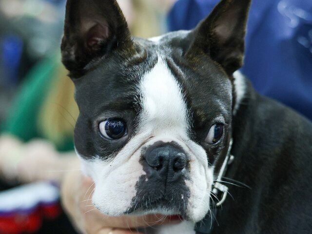    Фото: Москва 24/Елена Мельникова