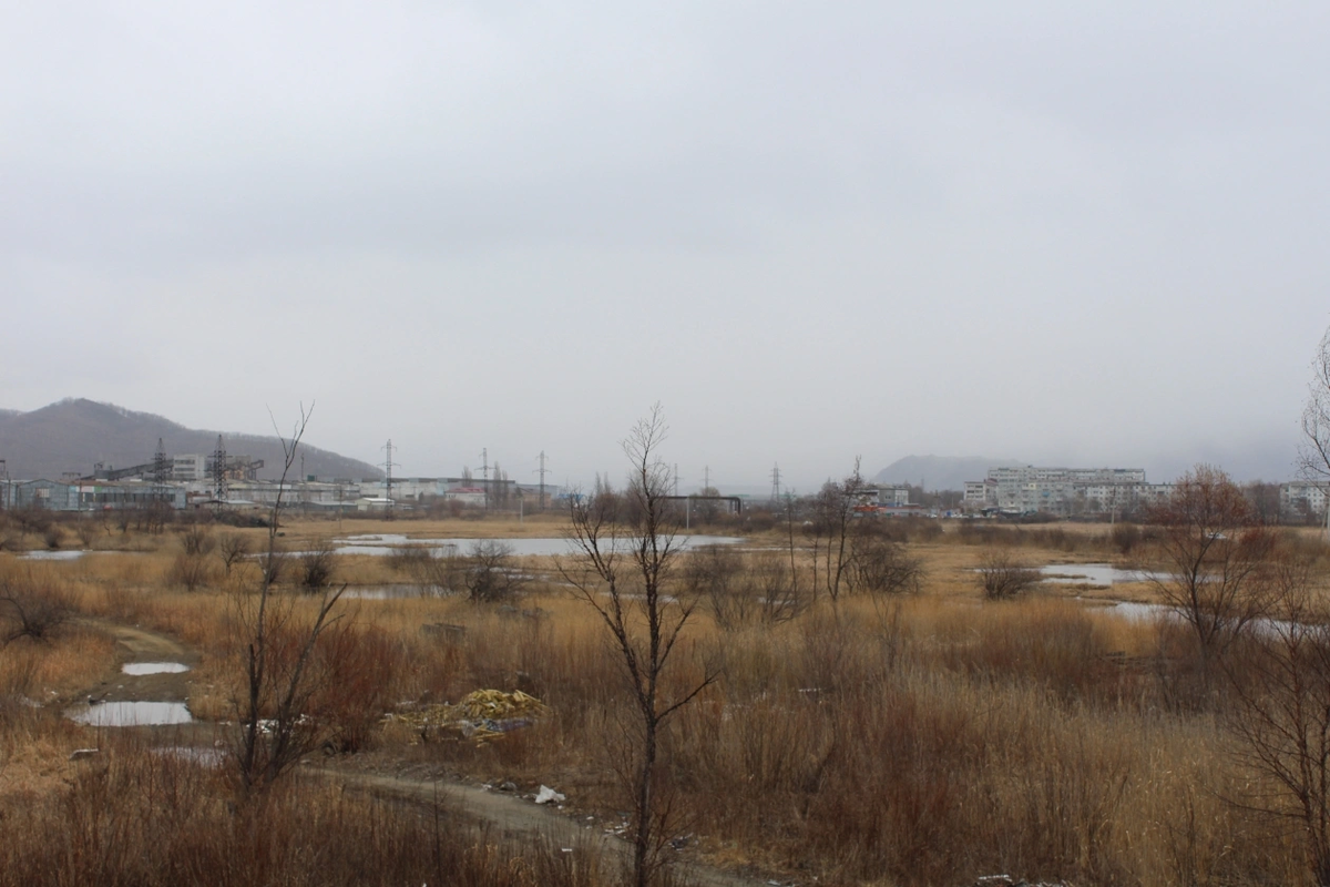 Вид на озера, где были найдены первые тела, г. Находка, наши дни. Фото: Фото: ИА Nakhodka.Media