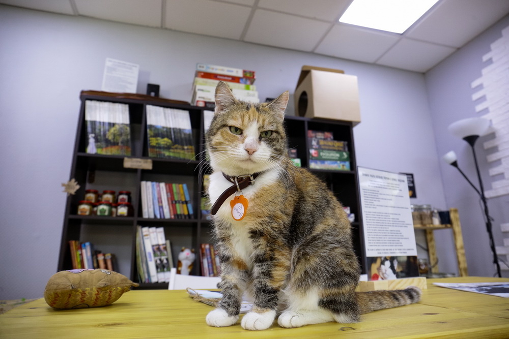 источник Яндекс-картинки