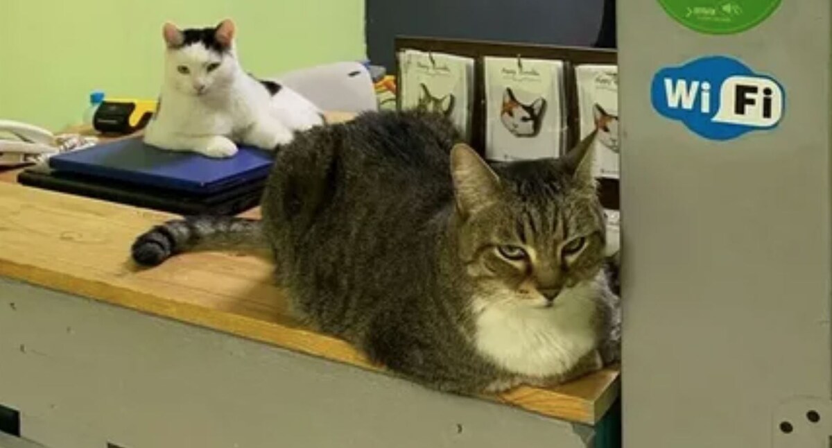 источник Яндекс-картинки