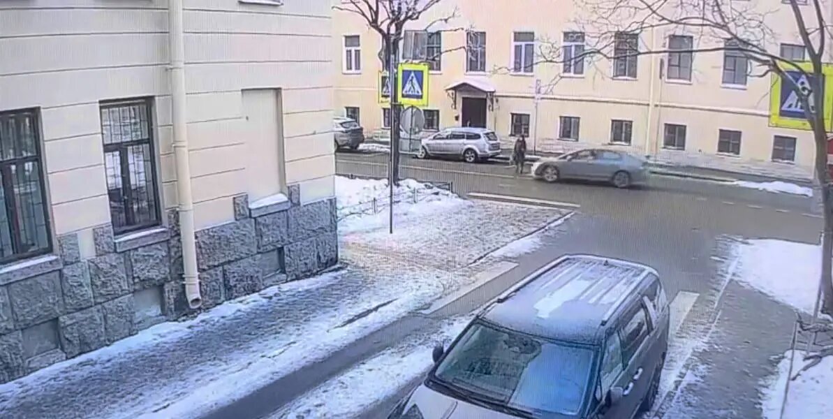    Фото: кадр видео ГУ МВД по Петербургу и Ленобласти