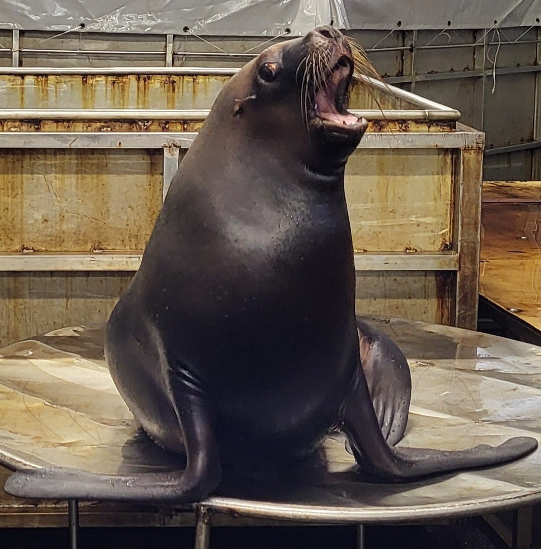 Фото Людмилы Чугуновой