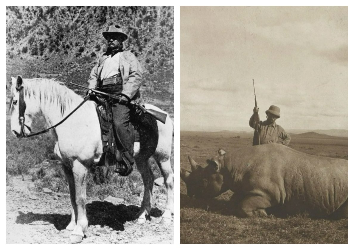 коллаж автора