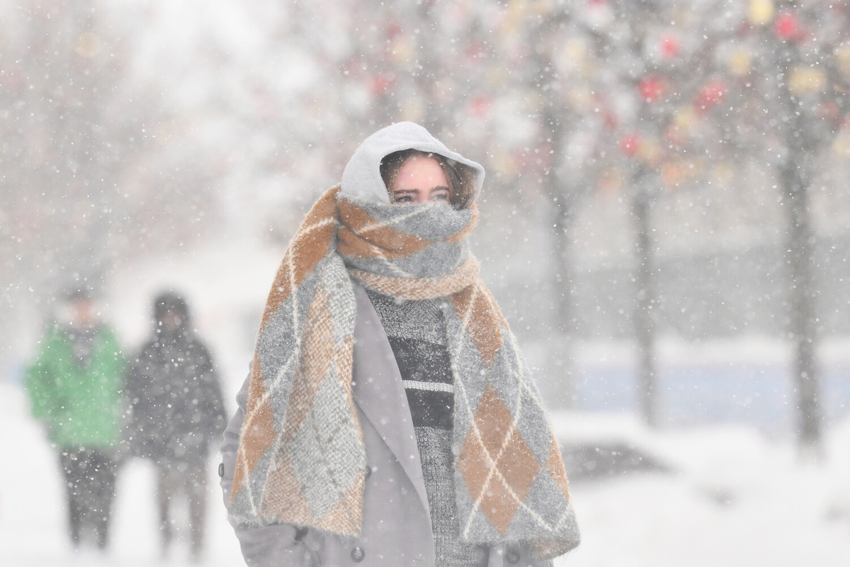 Во время сильной метели в Москве, 19 февраля 2026 года ©Григорий Сысоев/РИА Новости  📷
