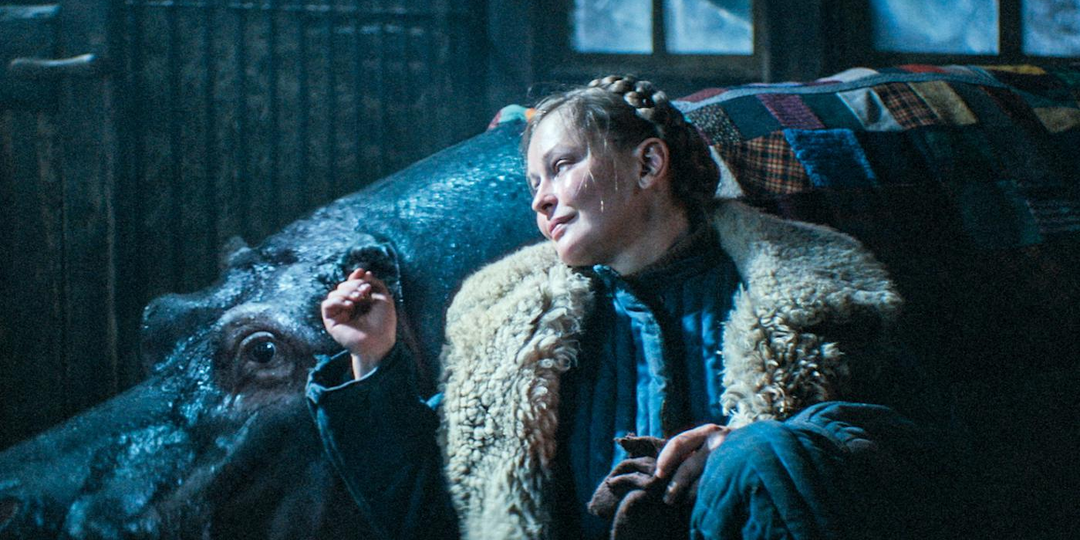 Как фильм Красавица спас тигренка из рук дагестанских браконьеров