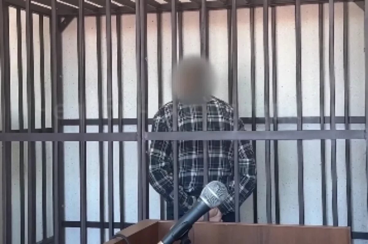    В Челябинске арестовали мужчину, пять раз ударившего ножом сожительницу