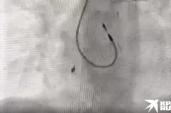 Фото: «КП-Новосибирск».