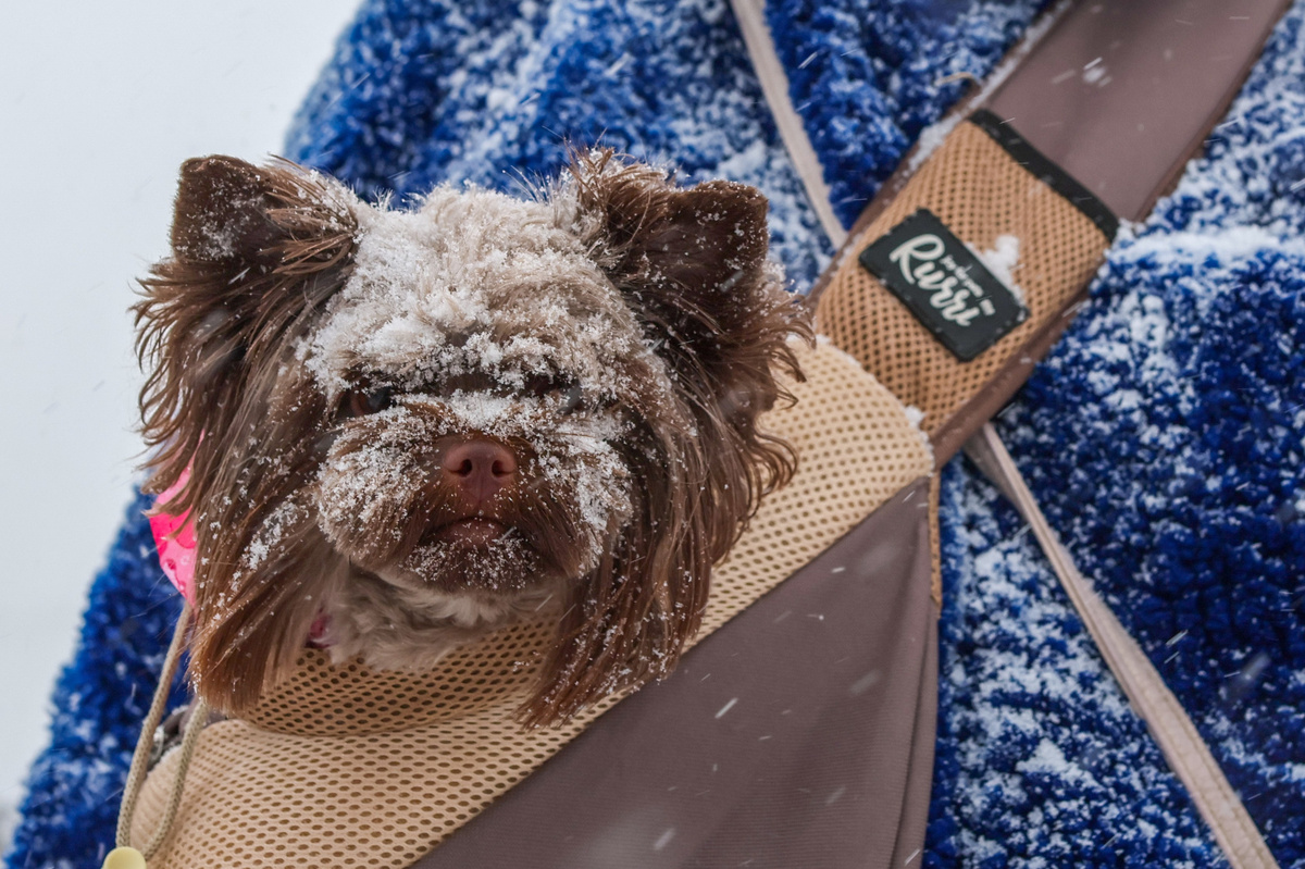 Фото: Belkin Alexey/news.ru/Global Look Press