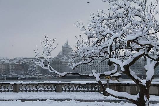    Женева, Швейцария (фото: commons.wikimedia/Patrick Nouhailler's…)
